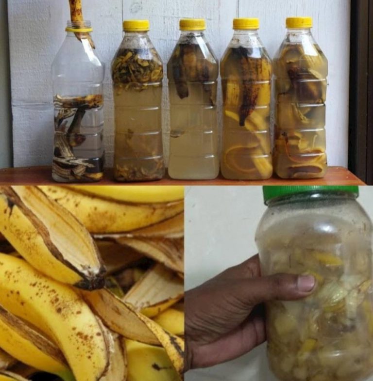DIY Banana Peel Fertilizer: Boost Your Garden’s Health Naturally ...